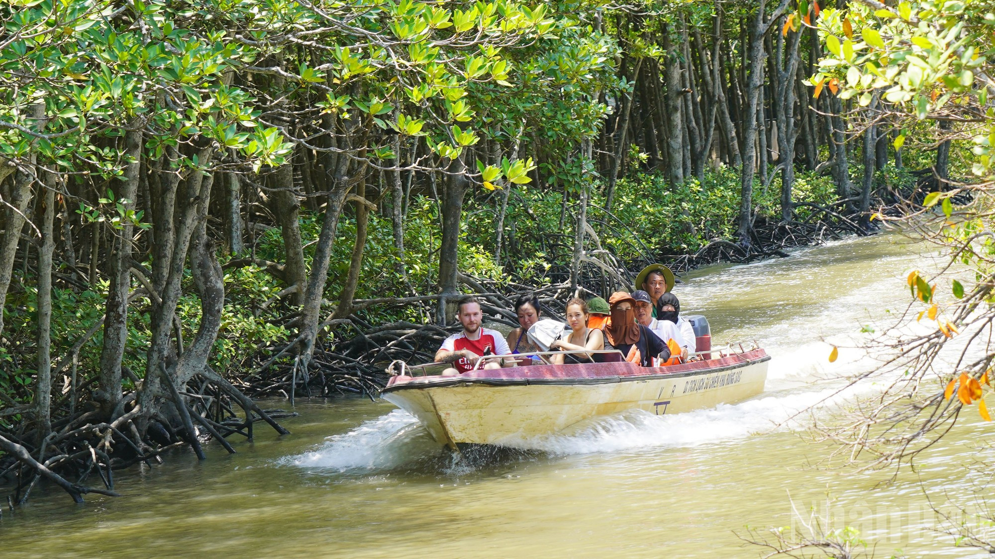 El entorno natural de Can Gio es especialmente propicio para la acuicultura. En sus canales y estanques se crían ostras, almejas, berberechos, cangrejos y gobios. A solo 15 minutos en barco desde el límite del bosque, los turistas pueden acercarse a estas granjas y disfrutar de un entorno fresco y verde.
