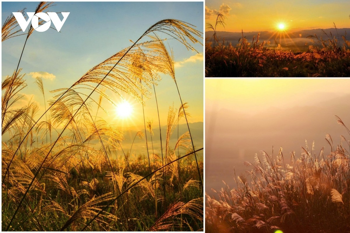 Dien Bien, una región que se transforma día a día, conserva la pureza y la sencillez de la montaña y el bosque.