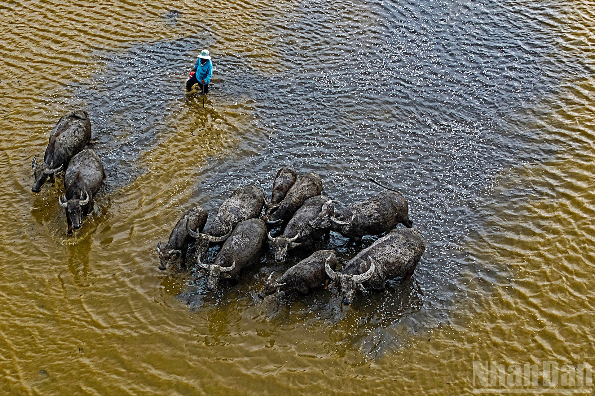 Sedimentos fértiles y vitalidad renovada.