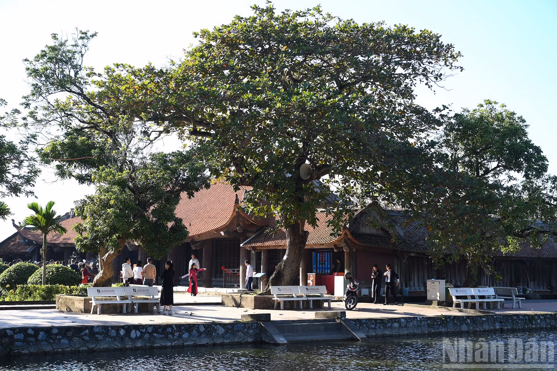 Paisaje verde de la pagoda.