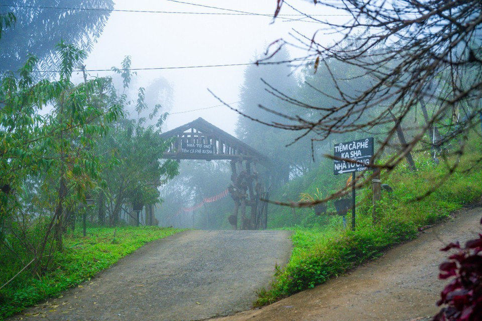Al llegar al lugar, los visitantes disfrutarán de muchas experiencias, como la de cazar nubes desde la cima de la montaña y explorar la vida y la cultura del pueblo étnico Mong. (Foto: VNA)