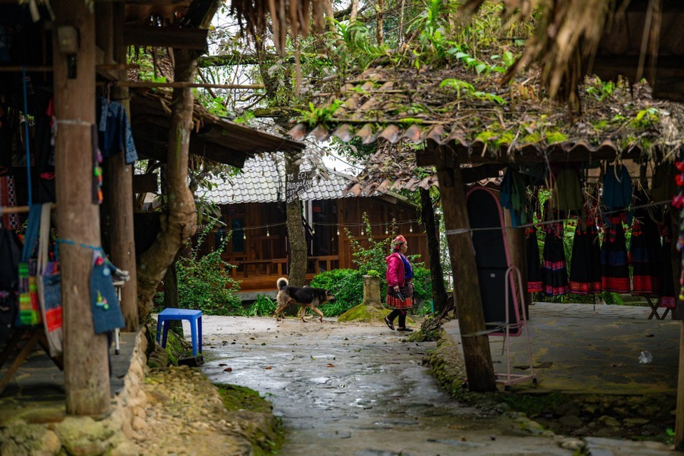 Este pueblo también es conocido como &quot;paraíso en las nubes&quot; por el majestuoso paisaje de la cascada del Amor, la cascada del Corazón y los campos dorados en terrazas. (Foto: VNA)