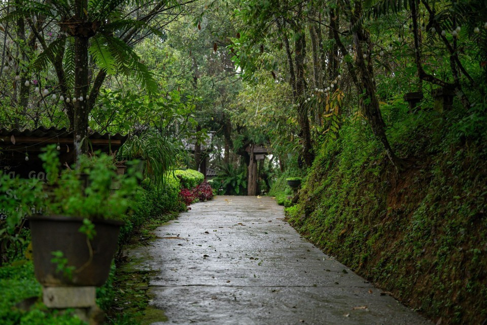 Sin Suoi Ho también fue galardonado como uno de los 5 mejores destinos de turismo comunitario en los Premios de Turismo de Vietnam 2025. (Foto: VNA)