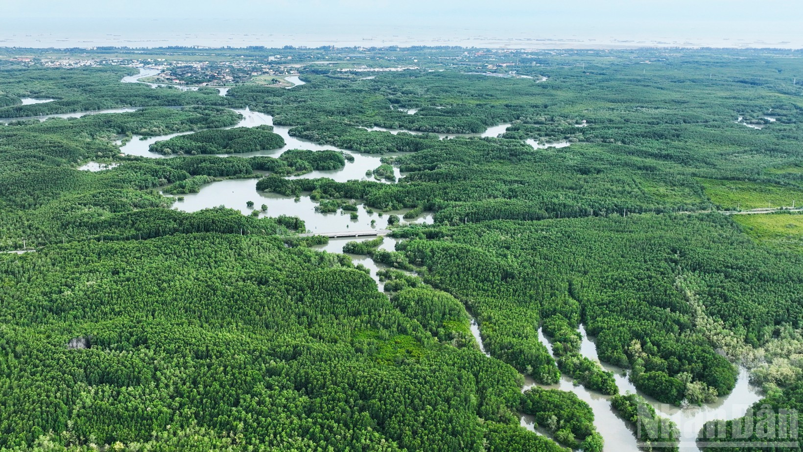 Asentado en una zona de aguas salobres, Can Gio es punto de encuentro entre el Mar del Este y los ríos Sai Gon y Dong Nai, de cuya confluencia surge un ecosistema de manglares único en su género.