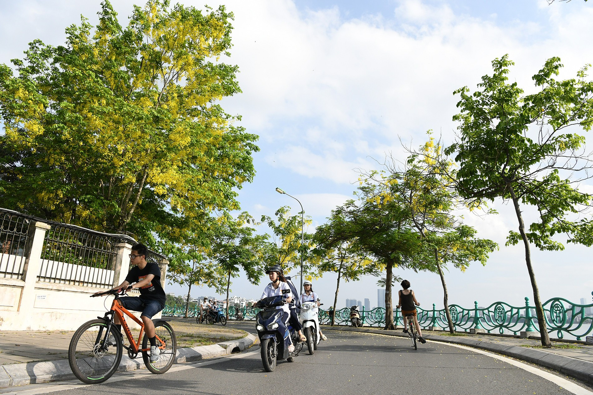 Recorrer las calles sombreadas por florecientes cañas fístulas hace que mucha gente se sienta refrescada y relajada pese al intenso calor. El verano en Hanói quizá se vuelve así más suave y poético gracias a las flores especiales que crecen a orillas del lago oeste. Recorrer las calles sombreadas por florecientes cañas fístulas hace que mucha gente se sienta refrescada y relajada pese al intenso calor. El verano en Hanói quizá se vuelve así más suave y poético gracias a las flores especiales que crecen a orillas del lago oeste.