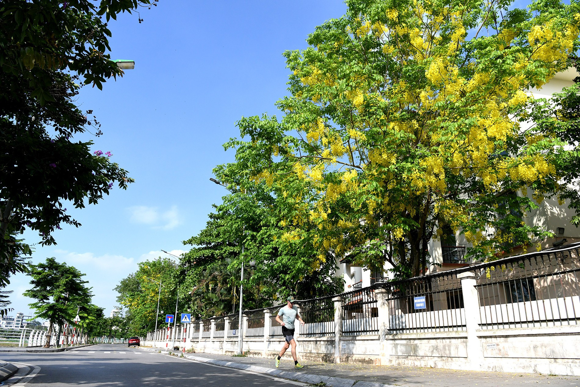 El icónico tono dorado inunda las calles de Hanói. El icónico tono dorado inunda las calles de Hanói.