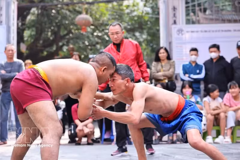La característica más distintiva del Festival de Lucha de la Aldea Mai Dong es la reunión de numerosos luchadores famosos, desde ancianos y adultos hasta jóvenes, adolescentes y niños. (Foto: VNA)