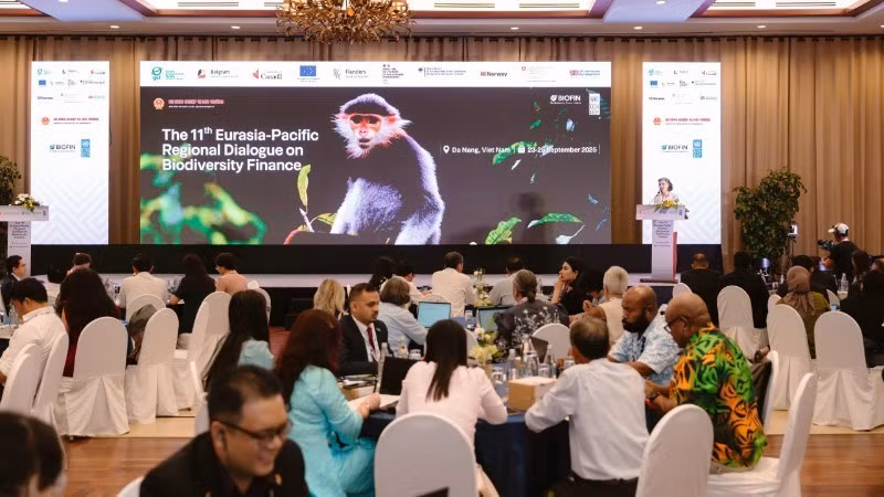 En el evento (Foto: Nhan Dan)