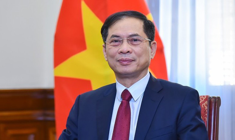 El viceprimer ministro y canciller de Vietnam, Bui Thanh Son. (Foto: baochinhphu.vn)