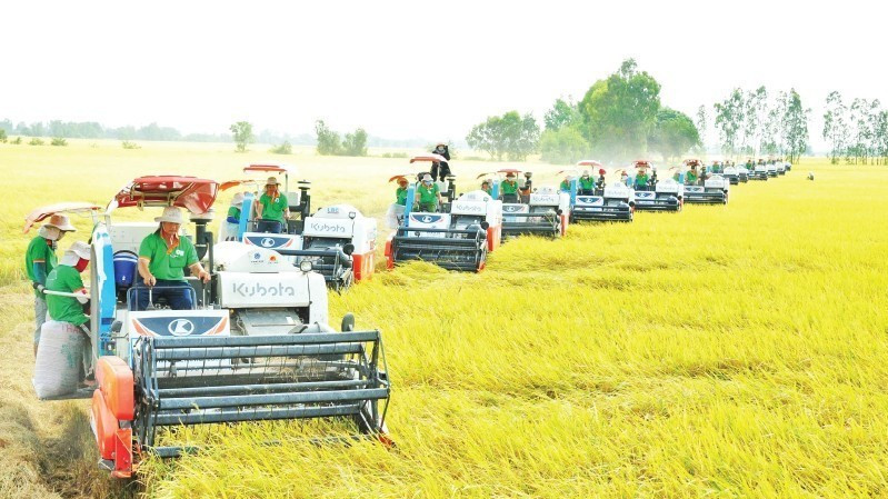 Foto de ilustración (Fuente: Nhan Dan)