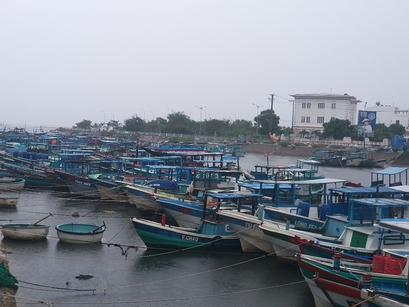 La provincia de Dak Lak cuenta actualmente con dos mil 575 embarcaciones pesqueras registradas en el sistema nacional de bases de datos pesqueras. (Foto: nongnghiepmoitruong.vn)