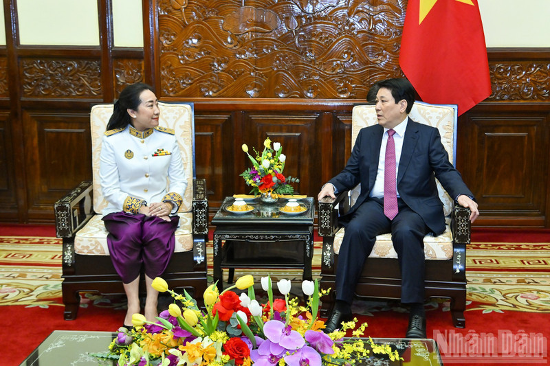 El presidente de Vietnam, Luong Cuong, recibe a la embajadora de Camboya, Touch Pharat. (Foto: Nhan Dan)