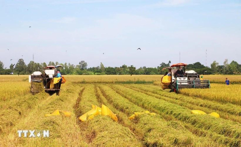 Foto ilustrativa (Fuente: VNA)