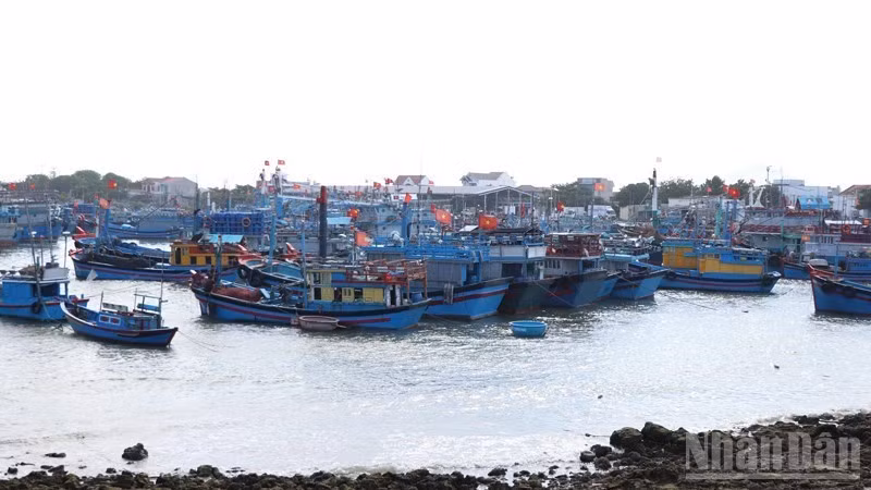 Provincia vietnamita digitaliza embarcaciones para frenar la pesca ilegal