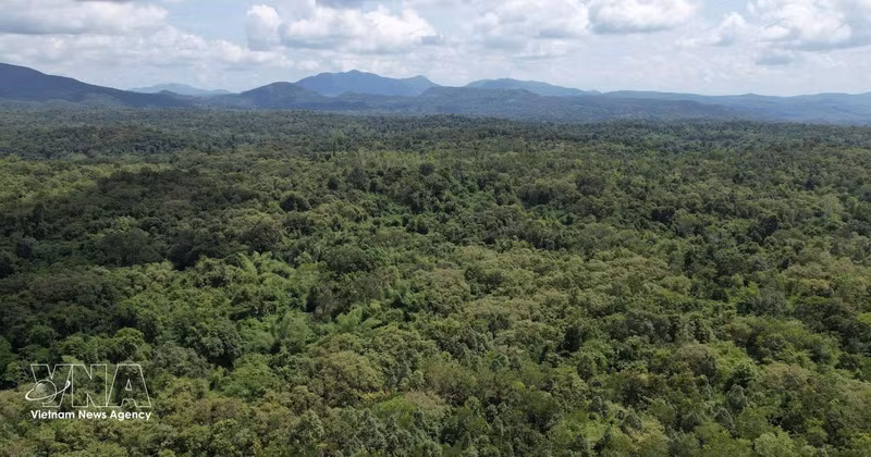 La Reserva Natural de Ea So, en la provincia central vietnamita de Dak Lak. (Foto ilustrativa: VNA)