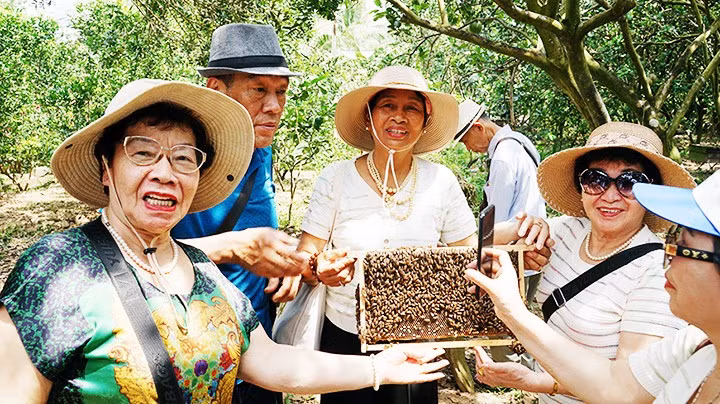 Ecoturismo de provincias del Suroeste vietnamita atrae visitantes