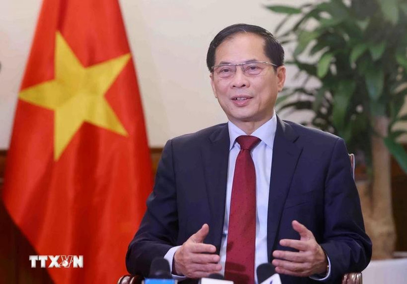 El viceprimer ministro y canciller de Vietnam, Bui Thanh Son (Foto: VNA)