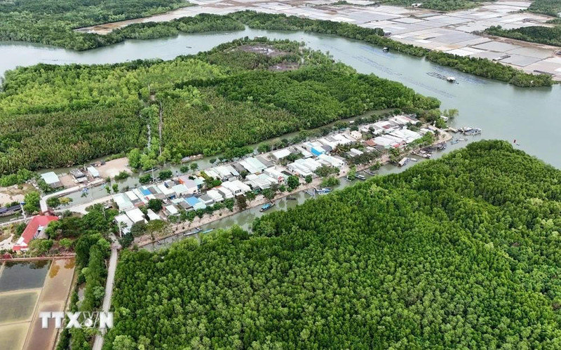 Zona residencial concentrada en medio del ecosistema de manglares de la isla de Thieng Lieng. (Foto: VNA)