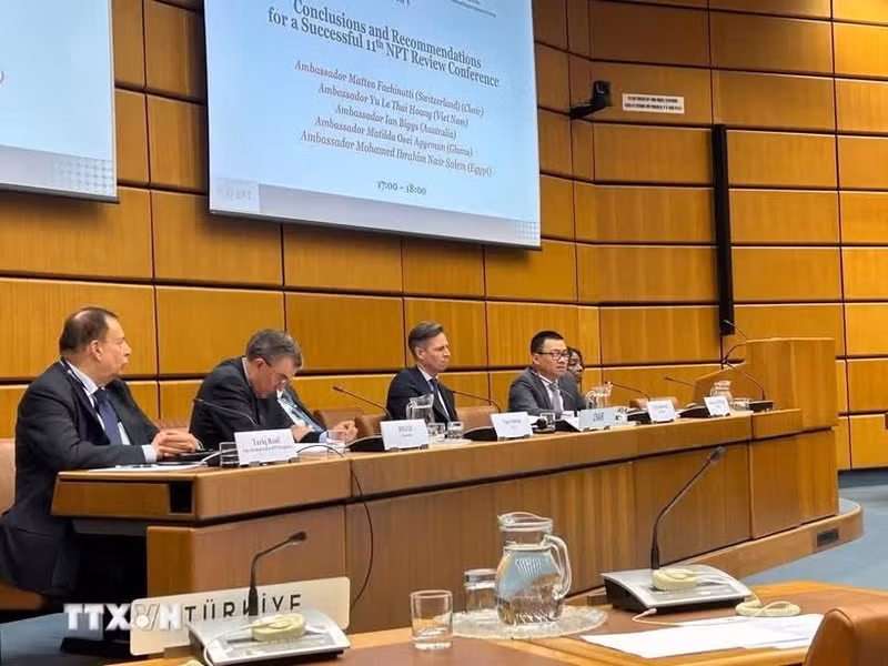 Vietnam destaca importancia del TNP en la seguridad global. (Foto: VNA)