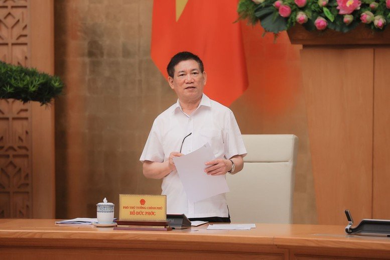 El viceprimer ministro de Vietnam Ho Duc Phoc habla en la reunión. (Foto: VGP)