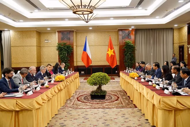 Panorama de la cita (Foto: nld.com.vn)