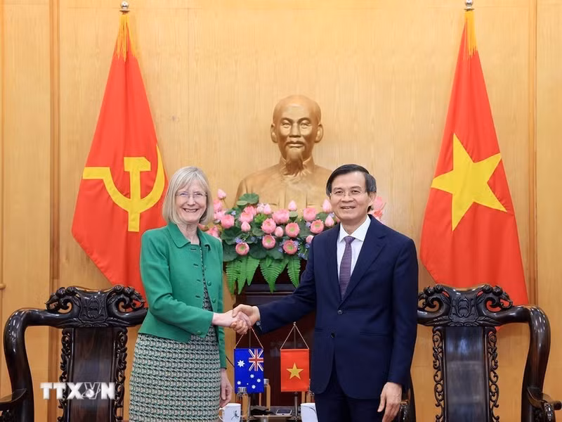 El director de la HCMA, Doan Minh Huan, y la embajadora australiana, Gillian Bird (Foto: VNA)