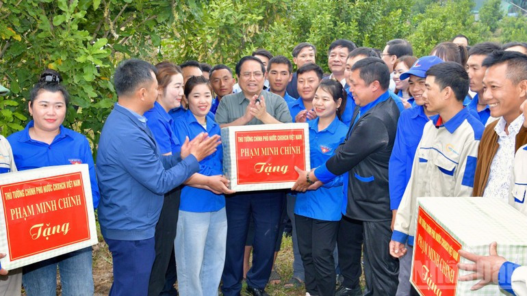 El primer ministro de Vietnam, Pham Minh Chinh, visita un modelo de cultivo de macadamia en la aldea Huoi Tao B (Foto: VNA)