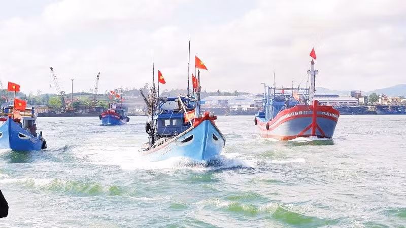 Lucha contra pesca ilegal: Nghe An intensifica supervisión de barcos pesqueros