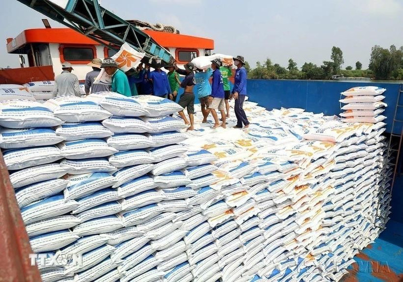 Exportaciones de arroz de Vietnam aumentan un 5% en los dos primeros meses de 2026 (Foto: VNA)