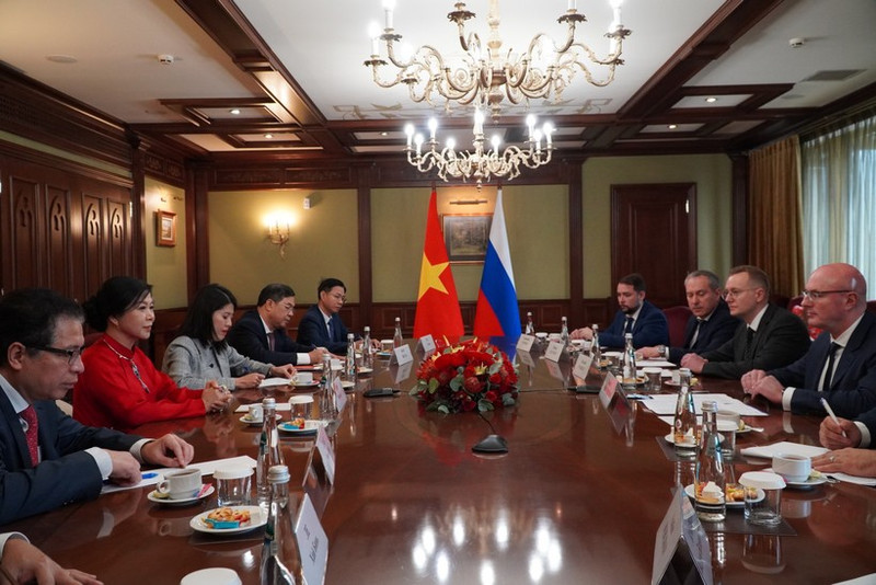 Ngo Phuong Ly, esposa del secretario general del Partido Comunista de Vietnam, se reúne con el viceprimer ministro de Rusia, Dmitry Chernyshenko. (Foto: VNA)