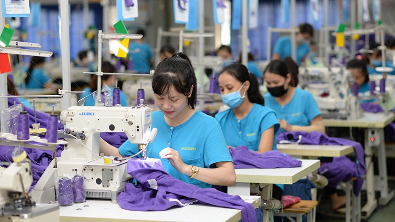 Proponen creación de Centro Nacional de Materias Primas para la industria de la moda vietnamita