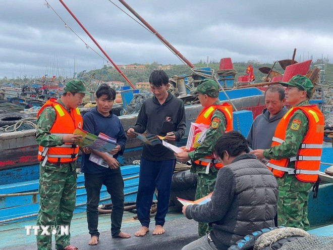 Campaña en Bach Long Vi refuerza lucha contra pesca ilegal en Vietnam