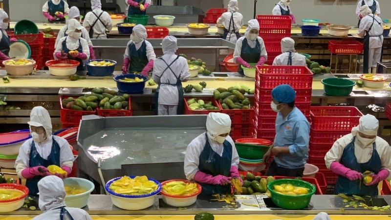 Vietnam impulsa reestructuración de cadena de valor agrícola ante alza de costos logísticos