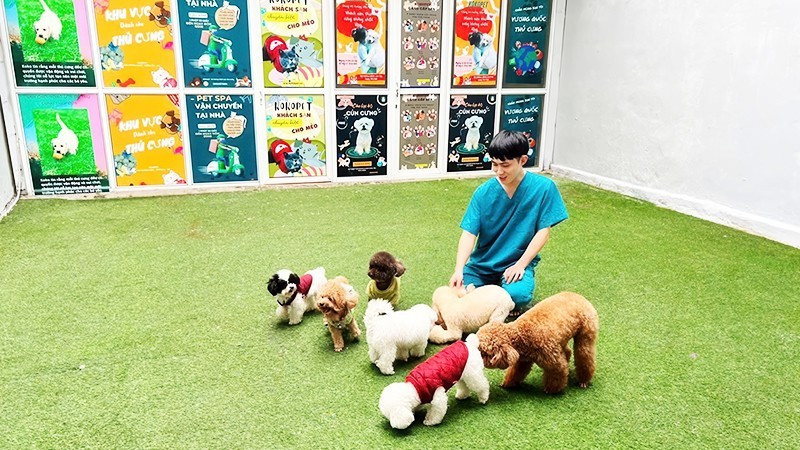 Mercado vietnamita de mascotas atrae a las empresas surcoreanas