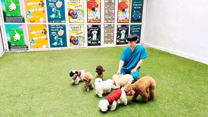 Mercado vietnamita de mascotas atrae a las empresas surcoreanas