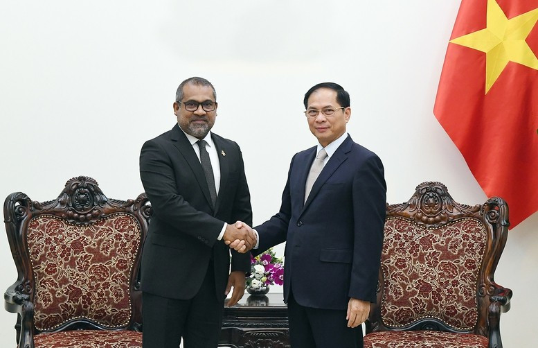 El viceprimer ministro vietnamita Bui Thanh Son y el ministro de Asuntos Exteriores de Maldivas, Abdulla Khaleel. (Foto: Cancillería)