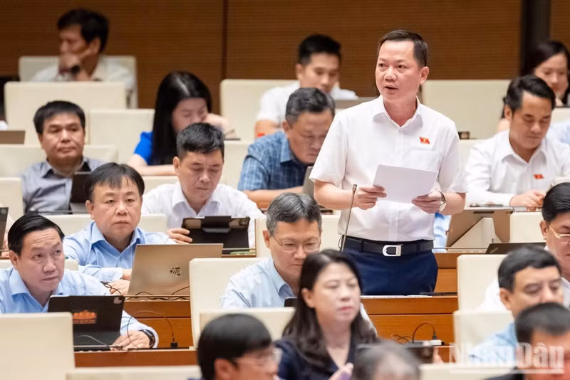El diputado Trinh Xuan An, de la provincia de Dong Nai, habla en la cita. (Foto: Nhan Dan)