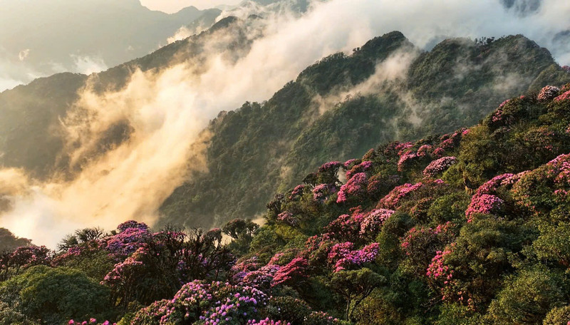 Bellaza paisaje en Lai Chau (Foto: Pu Lai Chau)