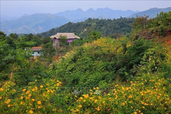 Flores en el poblado Mung. (Foto: VNA)