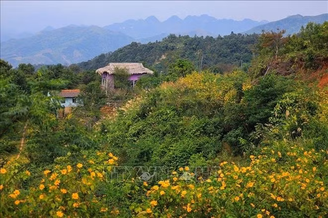 Flores en el poblado Mung. (Foto: VNA)