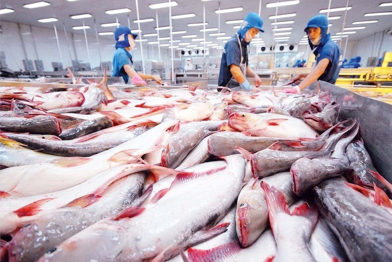 Los productos pesqueros son uno de los principales rubros de exportación de Vietnam hacia Brasil. (Foto: VGP)