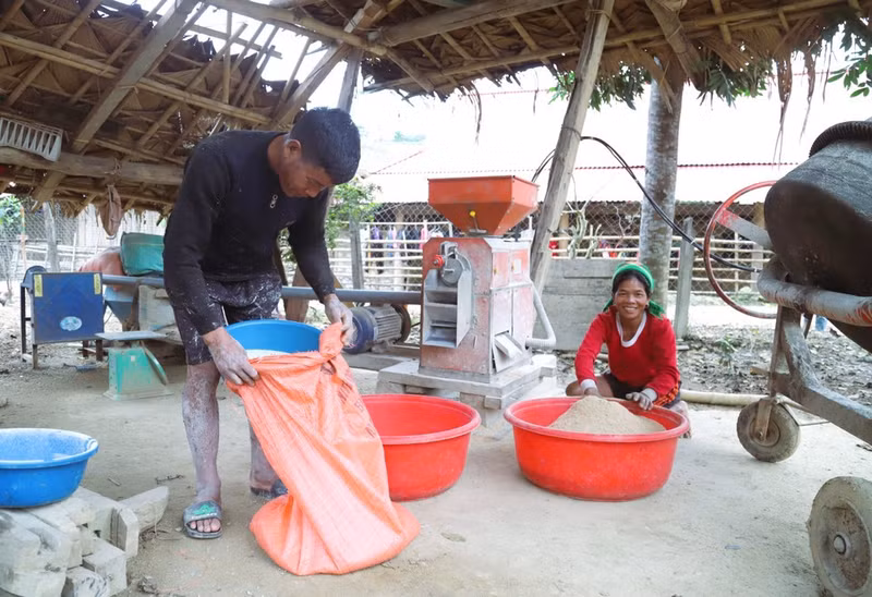 Muchas familias de la etnia Dan Lai de la aldea Bung (comuna de Mon Son, provincia de Nghe An) han invertido en molinos de arroz para cubrir las necesidades propias y de la comunidad, liberando mano de obra y generando un importante cambio económico en la aldea. (Foto: VNA)