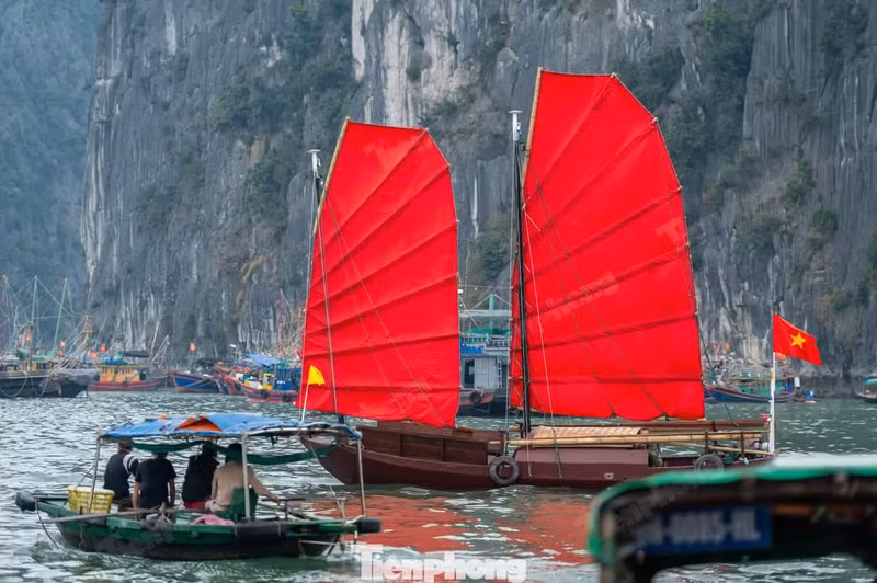 Foto: tienphong.vn