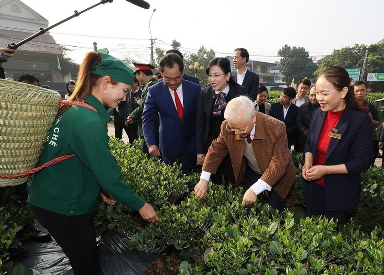 El secretario general del Partido Comunista de Vietnam Nguyen Phu Trong visita el jardín de té de la cooperativa Hao Dat, en la ciudad de Thai Nguyen, el 10 de enero de 2023. (Foto: VNA) El secretario general del Partido Comunista de Vietnam Nguyen Phu Trong visita el jardín de té de la cooperativa Hao Dat, en la ciudad de Thai Nguyen, el 10 de enero de 2023. (Foto: VNA)