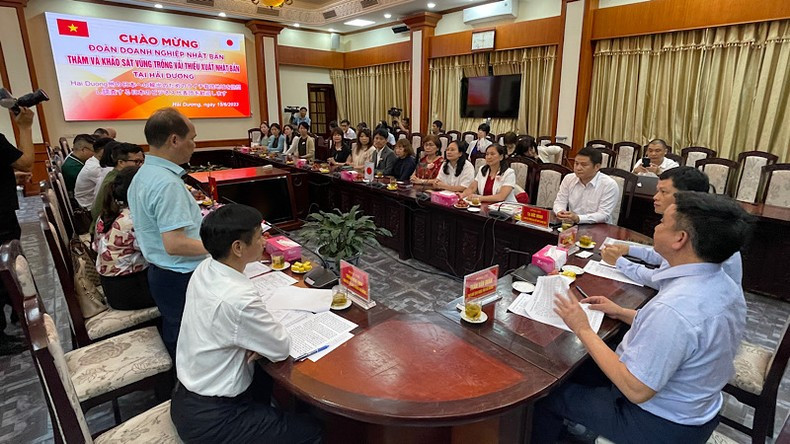 Líderes del Comité Popular provincial de Hai Duong se reúnen con representantes de empresas japonesas.