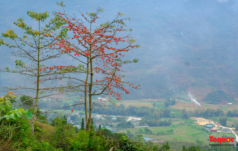 Cada estación tiene su propia belleza en Ha Giang, pero especialmente en este momento, cuando las flores rojas son como manchas de fuego en el cielo.