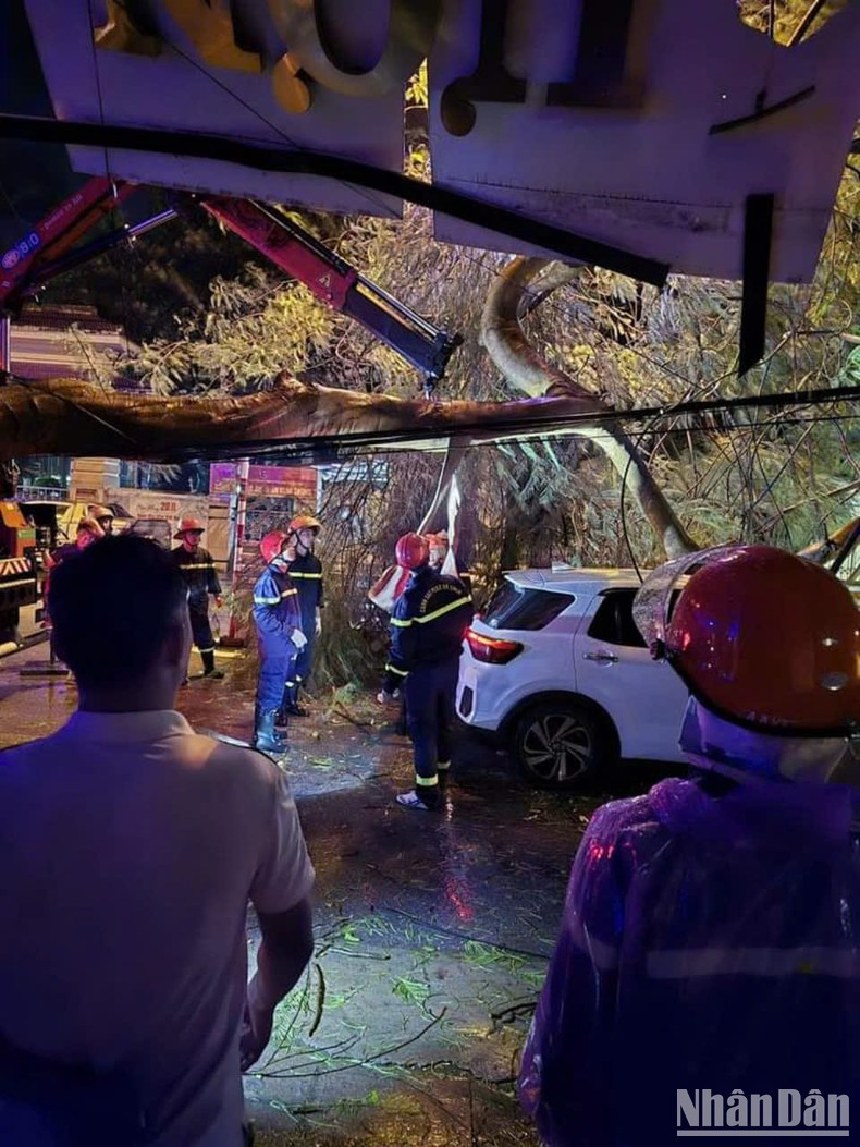 En la tarde del 7 de septiembre, la policía de Vinh Phuc moviliza fuerzas de rescate para superar las consecuencias de la caída de árboles y despejar las carreteras. (Foto Ha Hong Ha) En la tarde del 7 de septiembre, la policía de Vinh Phuc moviliza fuerzas de rescate para superar las consecuencias de la caída de árboles y despejar las carreteras. (Foto Ha Hong Ha)