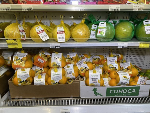 Naranjas Cao Phong llegan a estanterías de Reino Unido (Foto: VNA) Naranjas Cao Phong llegan a estanterías de Reino Unido (Foto: VNA)