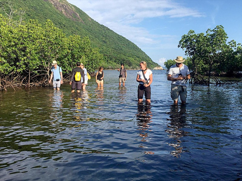 Los turistas internacionales exploran el parque nacional de Con Dao. (Fuente: Documentos del Parque Nacional Con Dao)