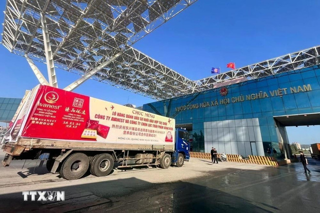 El primer envío de nidos de salanganas exportados a China a través del puente Bac Luan II - Mong Cai (Quang Ninh). (Foto: VNA)